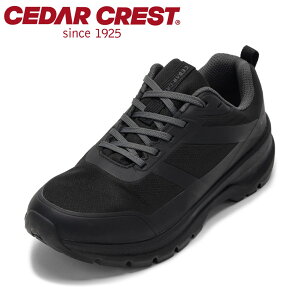 Z_[NXg CEDAR CREST CC-9852W fB[XC C V[Y 2E Xj[J[ h Ȃ h  NbV   [JbgXj[J[ Vv ubN SP