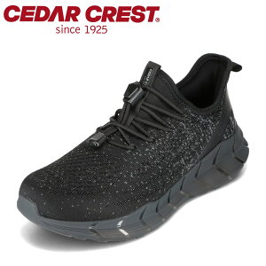 Z_[NXg CEDAR CREST CC9851 YC C V[Y 2E Xj[J[ h Ȃ h  [JbgXj[J[ Vv ubN SP