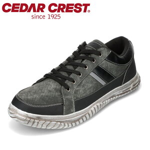 ySiP15{I1500:00`24HzZ_[NXg CEDAR CREST CC-1230 YC C V[Y 3E Xj[J[ [Jbg h J̓ [XAbv R [Yh ubN SP
