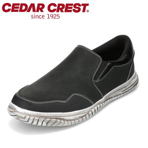 Z_[NXg CEDAR CREST CC-1231 YC C V[Y 3E Xj[J[ Xb| h J̓ S EȒP [Yh ubN SP