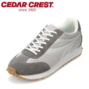 Z_[NXg EHbVu CEDAR CREST CC-9601 YC C V[Y E Xj[J[ GR eco L Đ EVA [JbgXj[J[ JWA O[ SP