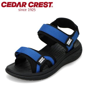ySiP5{I6`9܂ŁzZ_[NXg CEDAR CREST CC-3132 LbYC C V[Y 2E T_ X|[c X|T ʃt@Xi[ oh EȒP Vv lC uh u[ SP