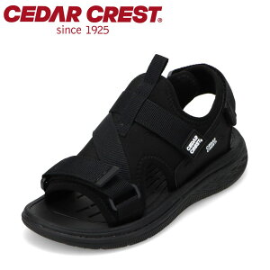 Z_[NXg CEDAR CREST CC-3133 LbYC C V[Y 2E T_ X|[c X|T ʃt@Xi[ oh EȒP Vv lC uh ubN SP