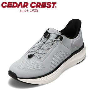 Z_[NXg CEDAR CREST CC-5001M YC C V[Y 2E XpbgV[Y g킸ɗ [JbgXj[J[ nYt[ ܂ܗ lC uh CgO[×ubN