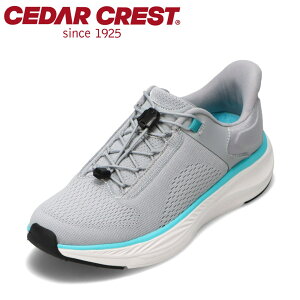 Z_[NXg CEDAR CREST CC-5001W fB[XC C V[Y 2E XpbgV[Y g킸ɗ [JbgXj[J[ nYt[ ܂ܗ lC uh CgO[×Tb