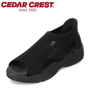 Z_[NXg CEDAR CREST CC-2515 fB[XC C V[Y 2E T_ XpbgV[Y T_ g킸ɗ nYt[ ܂ܗ jbg _炩  LL