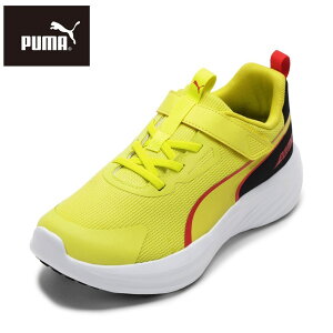 v[} PUMA 309935.11J LbYC C V[Y 2E Xj[J[ jOV[Y ^C ʉ ʊw S Xs[h X^[ V5  lC uh CG[ SP