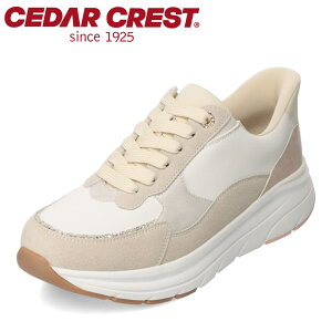 Z_[NXg CEDAR CREST CC-3503 fB[XC C XpbgV[YiXj[J[^CvjV[Y 3E Xj[J[ g킸ɗ L LL XpR[ [JbgXj[J[ lC 