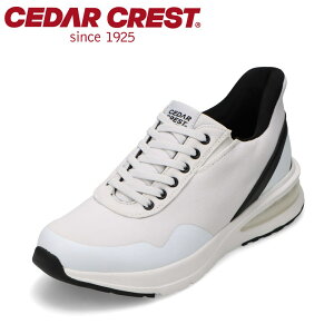 yECJ[zXpbgV[YiGA\[^CvjZ_[NXg CEDAR CREST CC-60910 YC C V[Y 2E h g킸ɗ nYt[ [JbgXj[J[ NbV