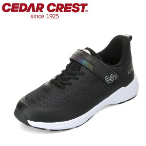 Z_[NXg CEDAR CREST CC-3134 LbYC C V[Y 3E Xj[J[ h  y qC j̎q ̎q ʋC bV Obv [JbgXj[J[ ^C ʉ ʊw ̈ ubN 