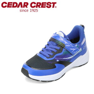 Z_[NXg CEDAR CREST CC-3134 LbYC C V[Y 3E Xj[J[ h  y qC j̎q ʋC bV Obv [JbgXj[J[ ^C ʉ ʊw ̈ u[ SP