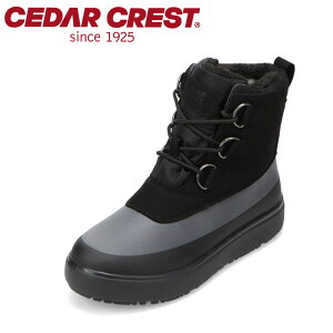 Z_[NXg CEDAR CREST CC-9769W fB[XC C V[Y 2E u[c h h EB^[ Xm[ V[Y h ɂ   J Obv Vv ubN SP