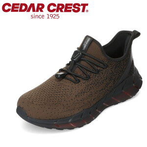 ySiP5{I2401:59܂ŁzZ_[NXg CEDAR CREST CC-9851 YC C V[Y 2E Xj[J[ h  h ɂ [JbgXj[J[ Vv J[L SP