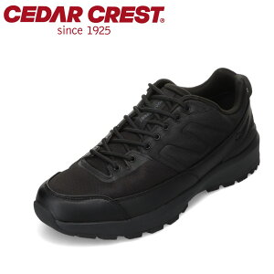 Z_[NXg CEDAR CREST CC-5700 YC C V[Y 2E Xj[J[ EH[LO V[Y  h J Jp [JbgXj[J[ Vv ubN SP