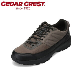 Z_[NXg CEDAR CREST CC-5700 YC C V[Y 2E Xj[J[ EH[LO V[Y  h J Jp [JbgXj[J[ Vv I[u SP