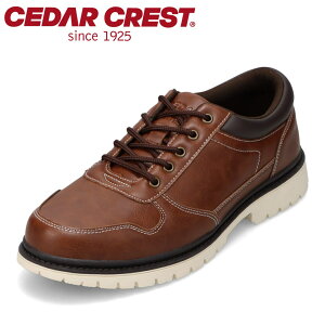 Z_[NXg CEDAR CREST CC-1014 YC C V[Y 2E JWA V[Y h h ɂ @\ Vv _[NuE SP