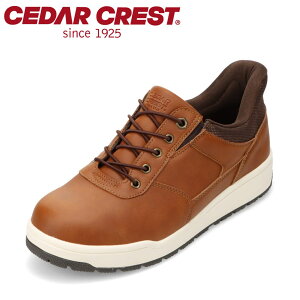 Z_[NXg CEDAR CREST CC-60862 YC C V[Y 2E Xj[J[ h XpbgV[Y g킸ɗ h ɂ J NbV TCh SA S [JbgXj[J[ l
