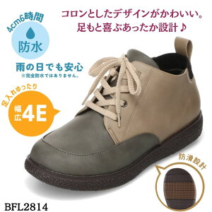 oCItBb^[ biofitter BFL2814 fB[XC C V[Y 4E JWA V[Y h h h ɂ  J R hL Vv O[