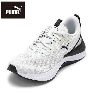 v[} PUMA 311208.02L fB[XC C V[Y 2E Xj[J[ jO V[Y NbV Ռz SOFTRIDE ZEBY TCN [JbgXj[J[ lC uh CgO