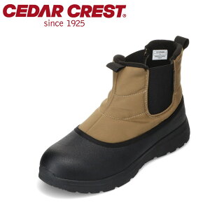 Z_[NXg CEDAR CREST CC-9709M YC C V[Y 3E u[c TCh SA S h h ɂ h J  Obv Vv uE SP