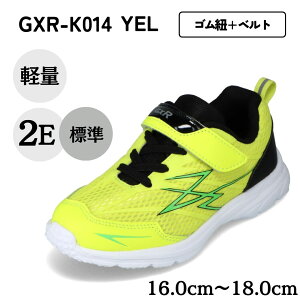 W[GbNXA[ GXR GXR-K014 LbYC qC C V[Y 2E Xj[J[ jOV[Y [JbgXj[J[ y y  bV ʋC ^C ʊw ̈  wZ X|[