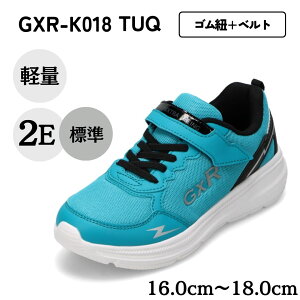 W[GbNXA[ GXR GXR-K018 LbYC C V[Y 2E Xj[J[ ^C ʉ ʊw y ʃt@Xi[ EȒP [JbgXj[J[ j̎q  ^[RCY SP