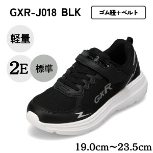 W[GbNXA[ GXR GXR-J018 LbYC C V[Y 2E Xj[J[ ^C ʉ ʊw y  [JbgXj[J[ ʃt@Xi[ EȒP j̎q  ubN SP