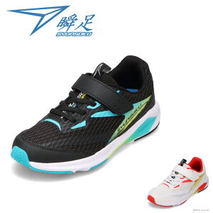 �V�����\�N �u�� SJJ 2341 �L�b�Y�C �C �V���[�Y 3E �L�b�Y �X�j�[�J�[ �^���C �ʊw �ʉ� �̈� �y�� �q���C �u�� �O���b�v �ʃt�@�X�i�[ ���[�J�b�g�X�j�[�J�[ �l�C �u�����h