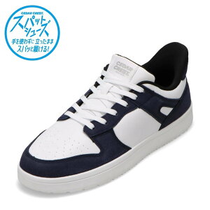 Z_[NXg CEDAR CREST CC-5000M YC C V[Y 2E XpbgV[Y g킸ɗ [JbgXj[J[ nYt[ ܂ܗ lC uh zCg×lCr[ SP