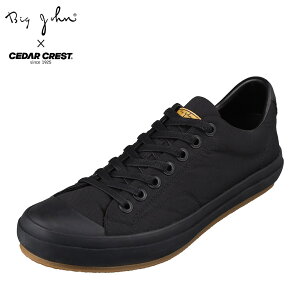 コラボ スニーカー メンズの人気商品 通販 価格比較 価格 Com