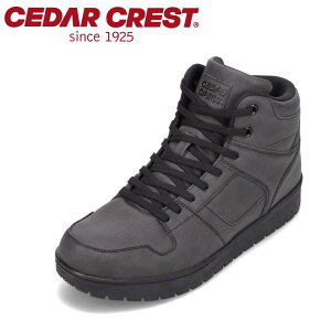 Z_[NXg CEDAR CREST CC-9479 YC C V[Y 2E nCJbgXj[J[ hXj[J[ h h Jp lC  ubN TSRC