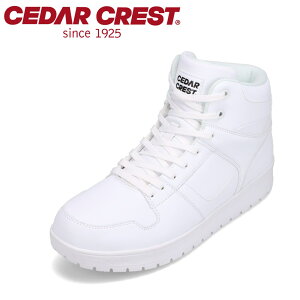 ySiP10{I1000:00`26HzZ_[NXg CEDAR CREST CC-9479 YC C V[Y 2E nCJbgXj[J[ hXj[J[ h h Jp lC  zCg TSRC