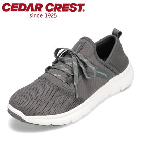セダークレスト CEDAR CREST CC9550M メンズ靴 靴 シューズ 3E相当 キックバックスニーカー 軽量 ローカットスニーカー 反射材 2WAY 履きやすい グレー TSRC
