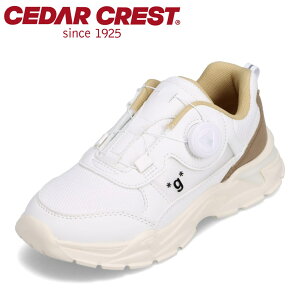 ySiP10{I1920:00`28HzZ_[NXg CEDAR CREST CC-3125 LbYC qC C V[Y 2E Xj[J[ LbYXj[J[ qC ^C _C EȒP X^CbV mg[