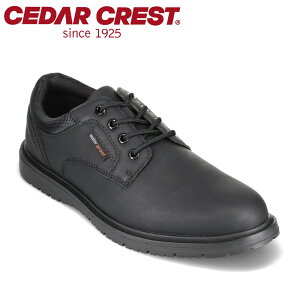 ySiP15{I1500:00`24HzZ_[NXg CEDAR CREST CC-1260 YC C V[Y 2E JWA h V[Y L J Jp ItBX ʋ Vv ubN TSRC