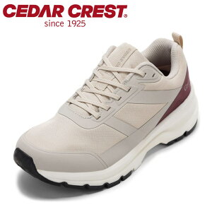 ySiP10{I1920:00`28HzZ_[NXg CEDAR CREST CC-9852W fB[XC C V[Y 2E Xj[J[ h Ȃ h  NbV   [JbgXj[J[ V