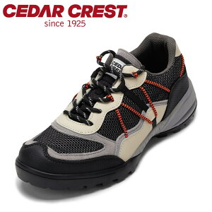 ySiP5{I6`9܂ŁzZ_[NXg CEDAR CREST CC-1938 YC C V[Y Xj[J[ [JbgXj[J[ AEghA W[ [XAbv lC uh ubN TSRC