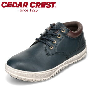 ySiP15{I1500:00`24HzZ_[NXg CEDAR CREST CC-1011 2E Xj[J[ JWAV[Y h h ɂ [JbgXj[J[ JWAXj[J[ lCr[ TSRC