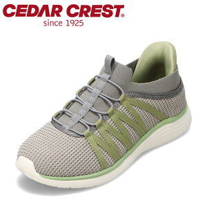 ySiP5{I6`9܂ŁzZ_[NXg CEDAR CREST CC-2508 fB[XC C V[Y 2E Xj[J[ XpbgV[Y [JbgXj[J[ g킸ɗ nYt[ lC uh