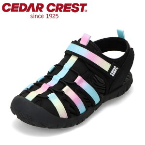 ySiP5{I6`9܂ŁzZ_[NXg CEDAR CREST CC-3131 LbYC C V[Y 2E T_ X|[c X|T ʃt@Xi[ oh EȒP Vv lC uh }`J[ TSRC