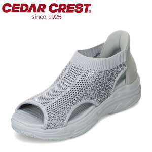 Z_[NXg CEDAR CREST CC-2515 fB[XC C V[Y 2E T_ XpbgV[Y T_ g킸ɗ nYt[ ܂ܗ jbg _炩  LL
