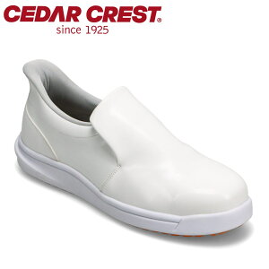 Z_[NXg CEDAR CREST CC-5002M YC C V[Y 2E Xj[J[ Xb| XpbgV[Yiyƃ^Cvj ϖ ~[C RbNV[Y c SC g킸ɗ [