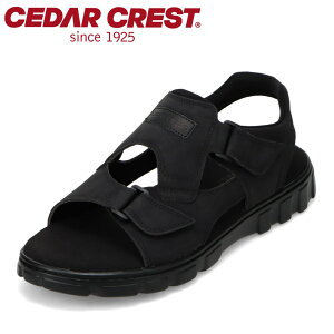 ySiP5{I6`9܂ŁzZ_[NXg EHbVu CEDAR CREST CC-1223 YC C V[Y 3E X|[c T_ X|T ʃt@Xi[ _炩 \tg Vv ubN