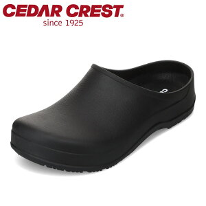 Z_[NXg CEDAR CREST CC-4100M YC C V[Y 2E T{T_ [V[Y Xbp  Vv TXeBiu SDGs ubN×ubN TSRC