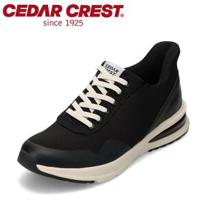 yECJ[zXpbgV[YiGA\[^CvjZ_[NXg CEDAR CREST CC-60910 YC C V[Y 2E h g킸ɗ nYt[ [JbgXj[J[ NbV