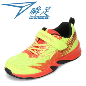 V\N u SJJ 2081J LbYC qC C V[Y 2E Xj[J[ u ^C ʊw ʉ ̈ qC j̎q ʃt@Xi[ Obv [JbgXj[J[ lC uh CG[ TSRC