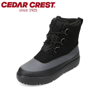 Z_[NXg CEDAR CREST CC-9769M YC C V[Y 2E u[c h h EB^[ Xm[ V[Y h ɂ   J Obv Vv ubN TSRC