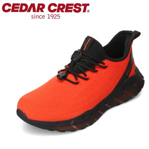 Z_[NXg CEDAR CREST CC-9851 YC C V[Y 2E Xj[J[ h  h ɂ [JbgXj[J[ Vv IW TSRC