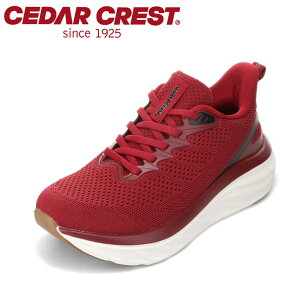 ySiP5{I6`9܂ŁzZ_[NXg CEDAR CREST CC-9900W fB[XC C V[Y 3E Xj[J[  NbV Ռz e͐  Lk _炩 tBbg jbg [Jbg