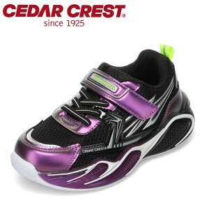 Z_[NXg CEDAR CREST CC-3135 LbYC C V[Y 3E Xj[J[ LbY  sJsJ tbV ʊw ʉ qC j̎q@̈ ^C [JbgXj[J[  ubN TSRC